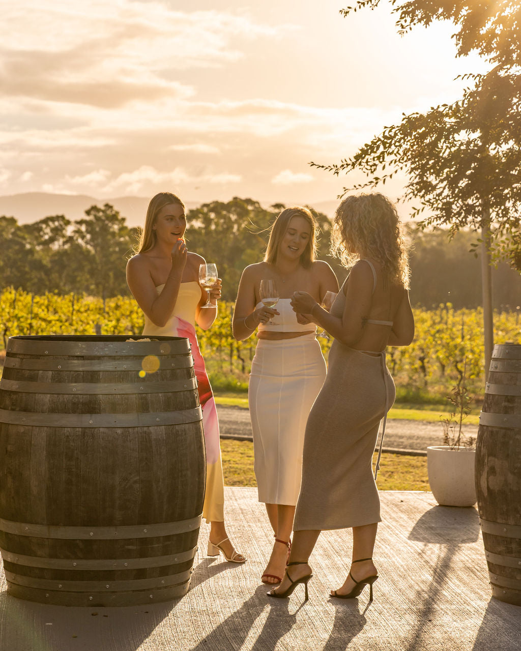 Gunpowder Wines 2026 Vintage Unveiling at Estancia Adina, Lovedale – Event Ticket