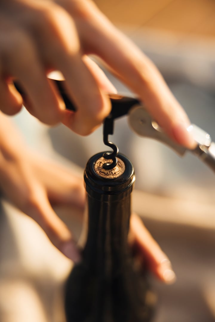 2023 Shiraz, Mudgee