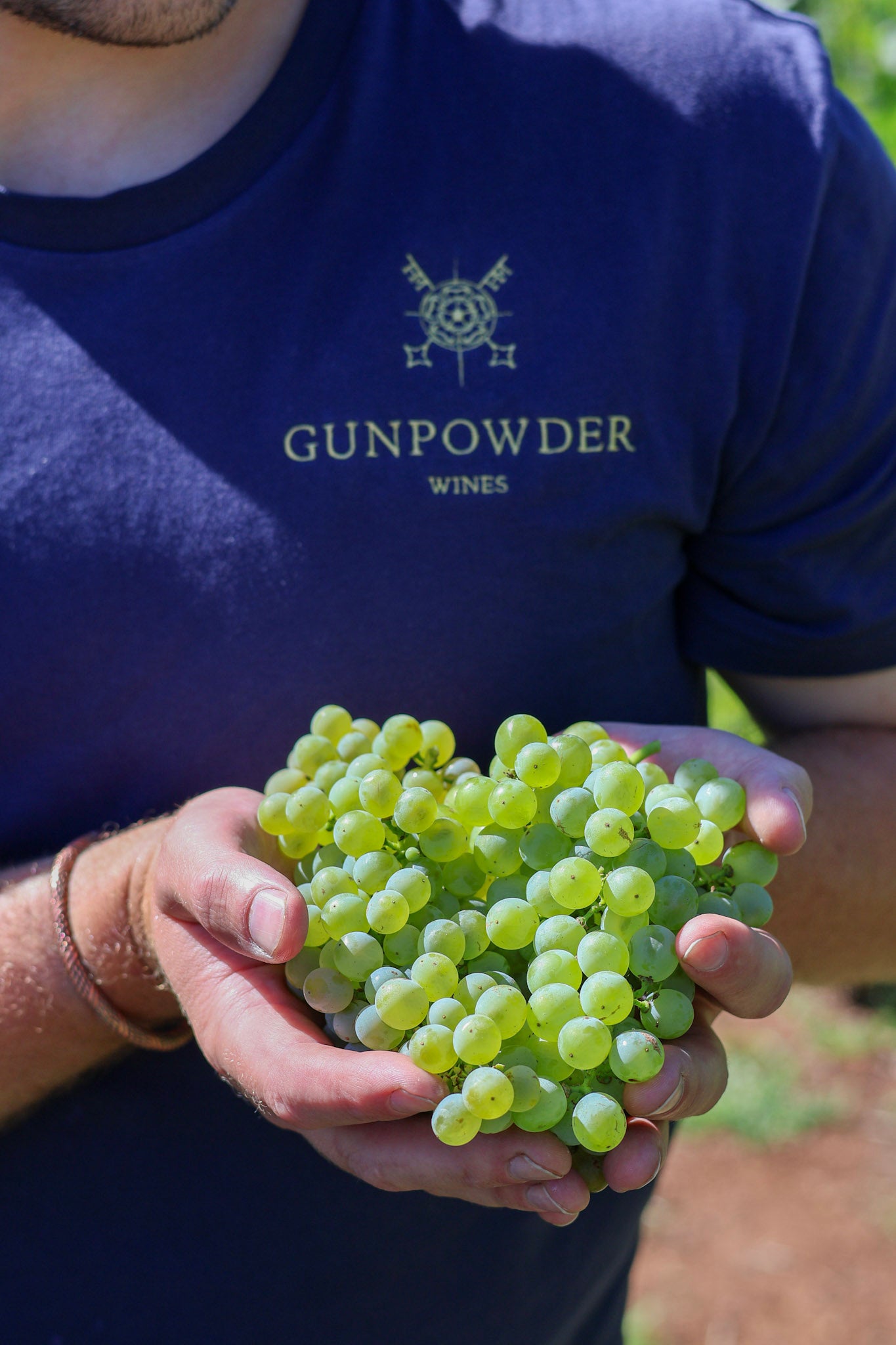 2026 Fiano, Hunter Valley
